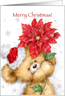 Cute bear with Santa’s hat holding poinsettia, Merry Christmas. card