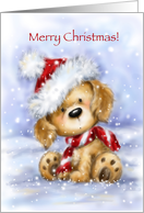 Sweet cute puppy wearing Santa’s hat in snow greeting,Merry Christmas card