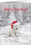 Polar bear with Santa’s hat in snowy woodland, Merry Christmas card