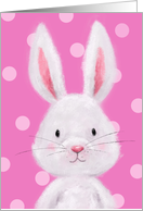 Blank Any Occasion with Cute Rabbit on Pink Dotted Background card