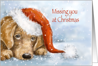 Missing You at Christmas, Cute sad eyes dog with Santa’s hat card