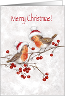 Season’s Greetings to My Colleague, Two Robins on Branches with Berries card