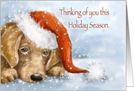 Remembrance Holiday Season, Dog with Sad Eyes Wishing You Peace card