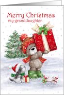 Christmas to Granddaughter Cute Bear Holding a Big Present card