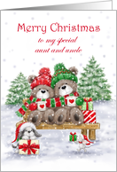 Christmas to Aunt and Uncle Cute Bear Sitting on Bench card