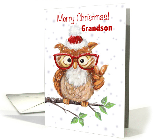 Merry Christmas Grandson Cool Owl with Eyeglasses Showing V sigh card