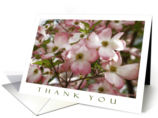Thank You Blossoms card (247182)
