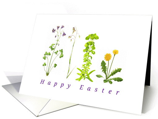 Easter wild flowers delicate simple accurate illustration card