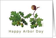 Happy Arbor Day English Oak delicate accurate illustration card