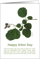 Happy Arbor Day Alder Card