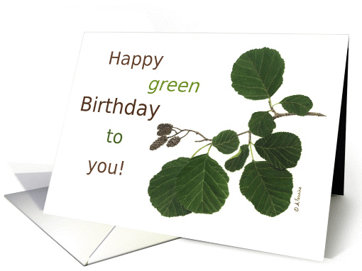 Happy Green Birthday Alder card (1086648)