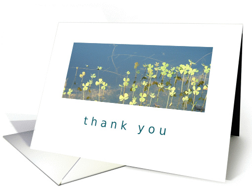 Thank you aquatic four-leaf clover card (1089888)