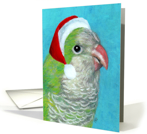Quaker Parrot in Santa Hat card (301798)