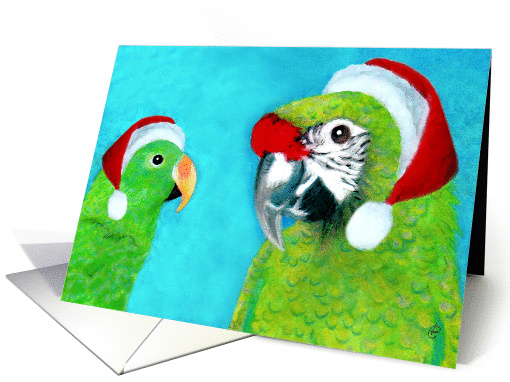 Eclectus & Military Parrot Santas card (314065)