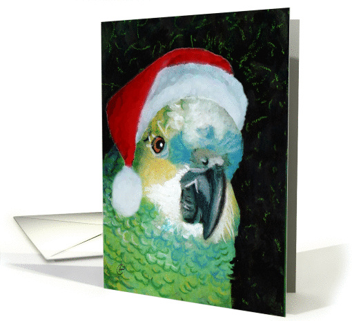 Blue Fronted Amazon Parrot Santa card (318690)