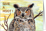 Give a Hoot - Owl card