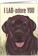 I LAB-adore YOU card