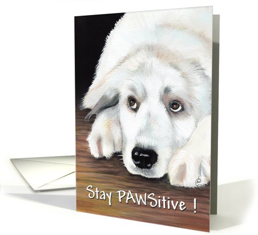 Stay PAWSitive Canine Painting card (482690)