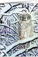 From You know ’Hoo’ - Owl Painting card