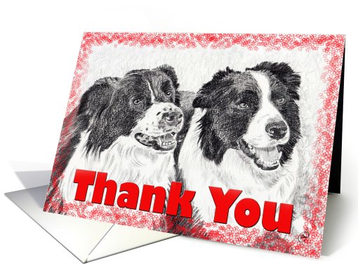 Thank You Graphite Sketch Border Collies card (528004)