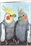 Together Again Announcement Cockatiel Art card