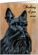 Scottish Terrier Dog Breed Painting card