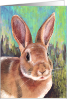 Rabbit Some Bunny Special Happy Easter Painting card