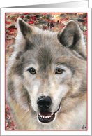 Wolf Portrait Painting Frameable all occasion note card