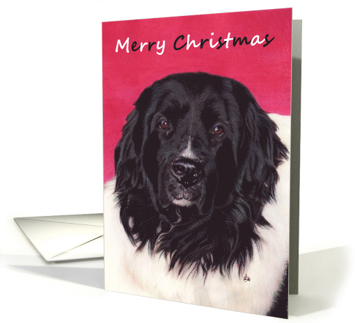 Landseer Newfoundland Dog Painting Christmas card (989903)