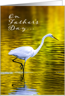 Father’s Day Great White Egret Wades in Still Pond at Sunrise card
