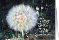 Happy Birthday Great-Grandmother With Dandelion Puff card