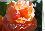Thank You For Everything You’ve Done, Coral and Peach Rose card