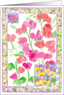 Pink Sweet Pea Flower Garden Watercolor Spring Flowers card