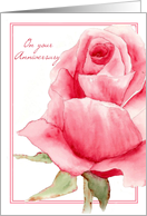 On Your Anniversary Valentine’s Day Pink Rose card