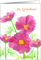 Hi Grandma Thinking Of You Pink Cosmos Flowers card