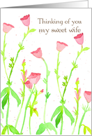 Thinking of You My Sweet Wife Pink Wildflowers card