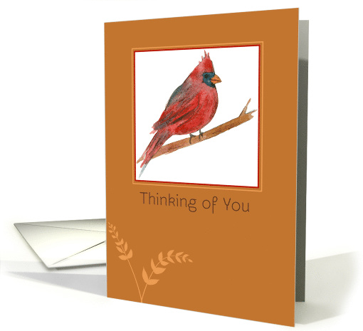 Thinking of You Red Cardinal Bird card (1152690)