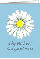 Thank You Nurse Shasta Daisy Flower Blue card