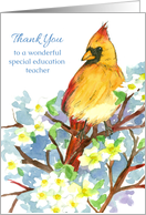 Thank You Special Education Teacher Cardinal Bird card