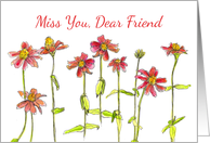Miss You Dear Friend Red Zinnia Flower Watercolor card