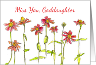 Miss You Goddaughter Red Zinnia Flower Watercolor card