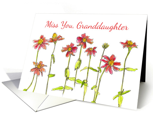 Miss You Granddaughter Red Zinnia Flower Watercolor card (1254428)