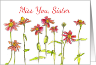 Miss You Sister Red Zinnia Flower Watercolor card