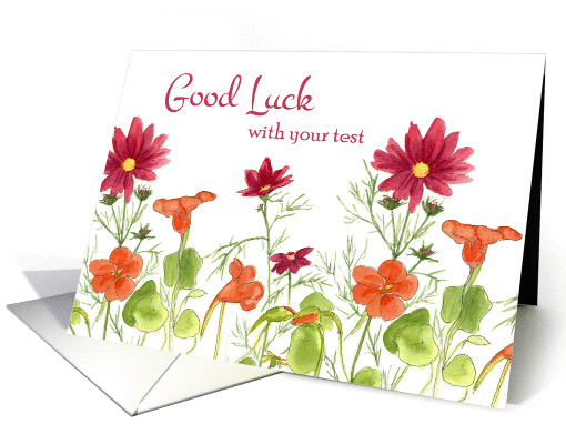 Good Luck With Your Test Orange Nasturtium Flowers card (1267800)