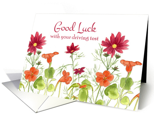 Good Luck With Your Driving Test Orange Nasturtium Flowers card