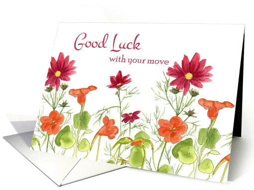 Good Luck With Your Move Orange Nasturtium Flowers card (1267830)