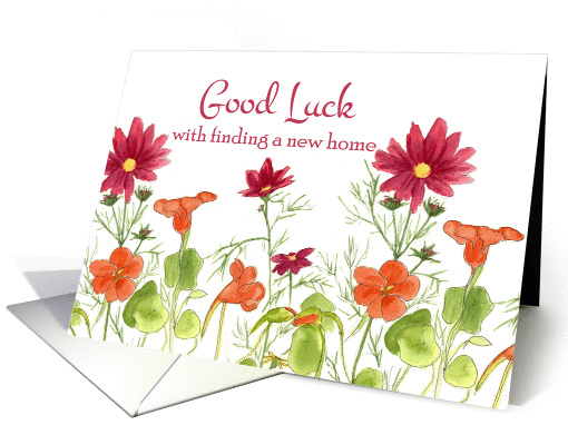 Good Luck With Finding a New Home Orange Nasturtium Flowers card