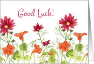 Good Luck Orange Nasturtium Flowers card