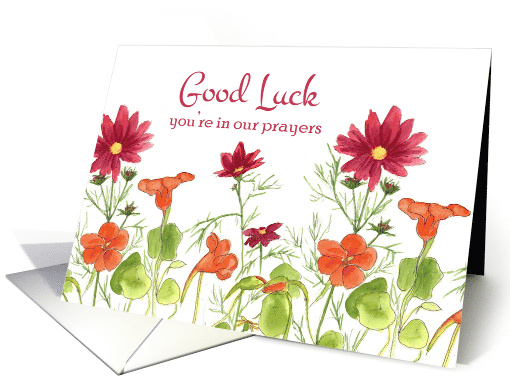 Good Luck You're In Our Prayers Orange Nasturtium Flowers card