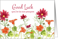 Good Luck You’re In Our Prayers Orange Nasturtium Flowers card